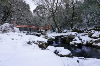 冬の菊池渓谷