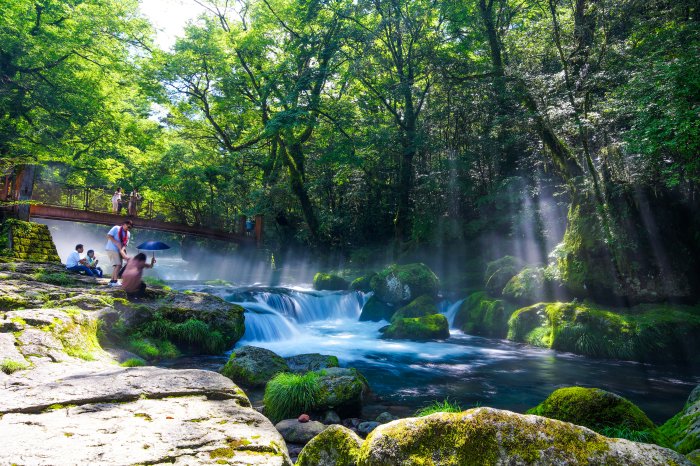 夏の菊池渓谷