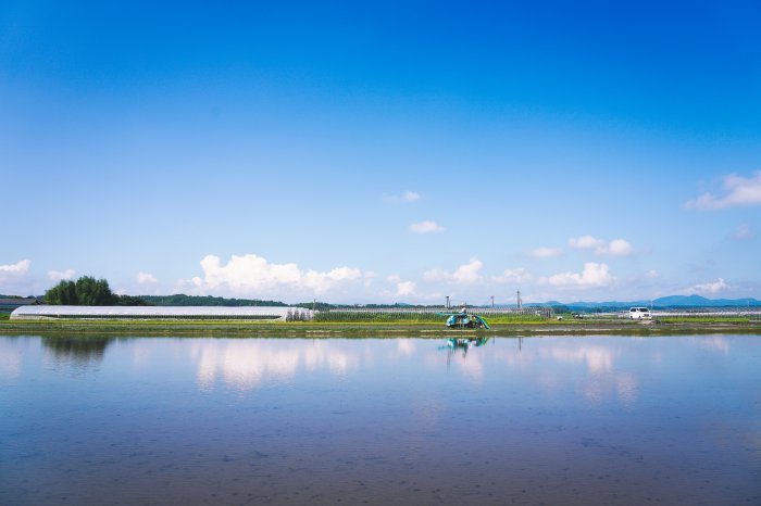 加恵区の田園風景