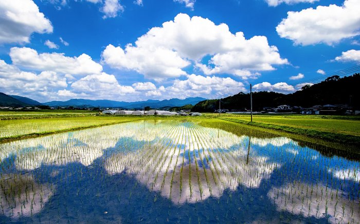 田園風景