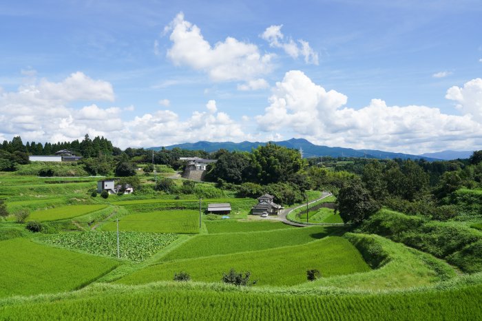茂藤里区の棚田