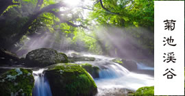 菊池渓谷ホームページ