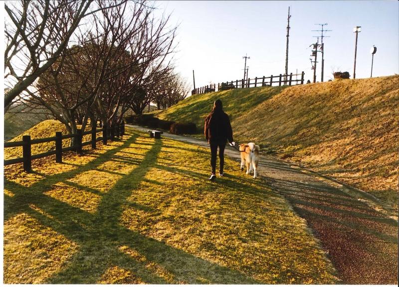 堀田亜矢美様の作品「早春賦の歌が聞こえる丘」の写真