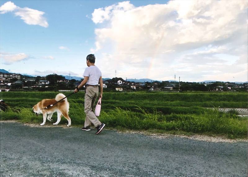 堀田亜矢美様の作品「虹とお散歩」の写真