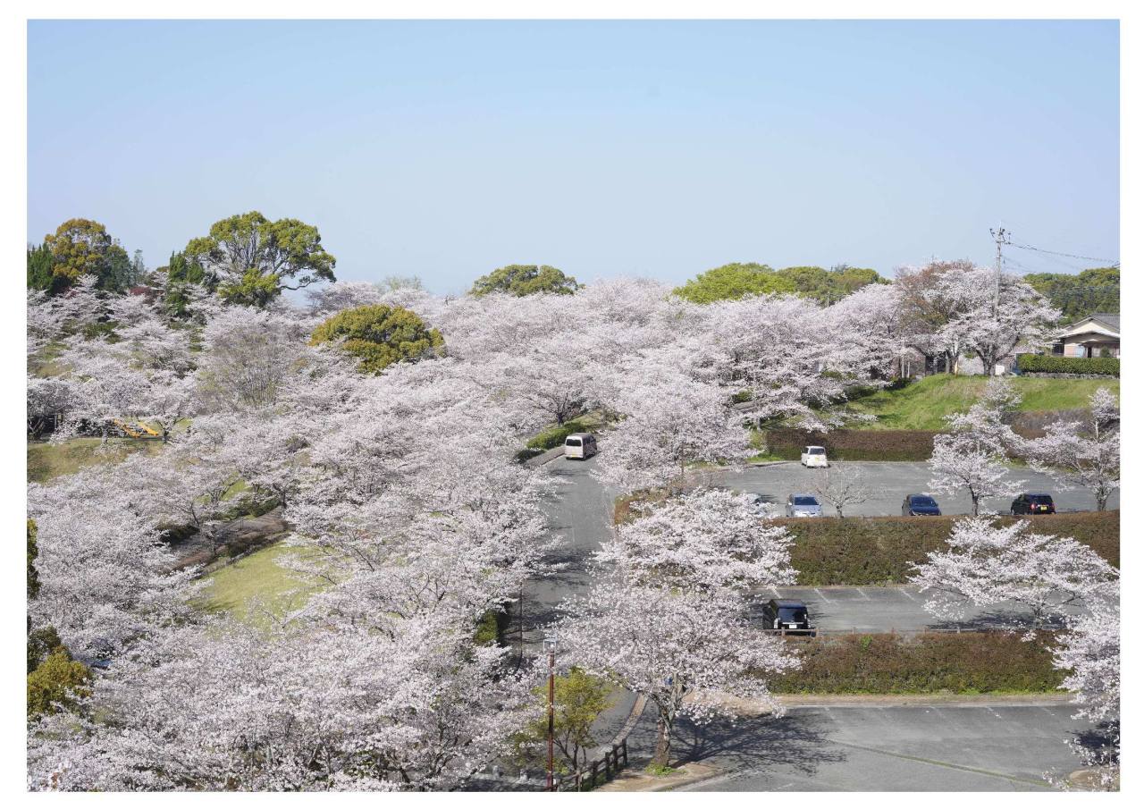 菊池公園