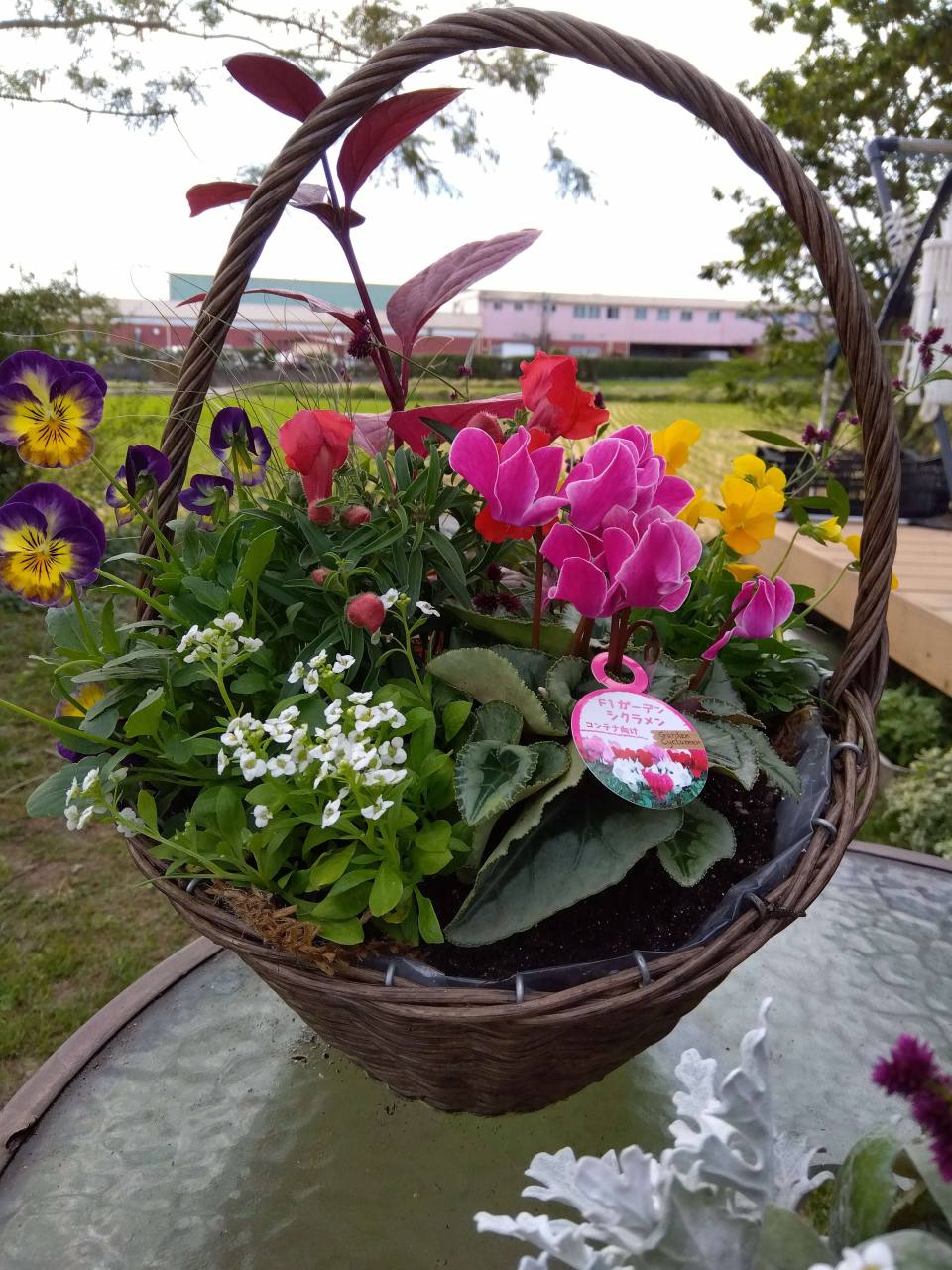 寄せ植えイメージ写真