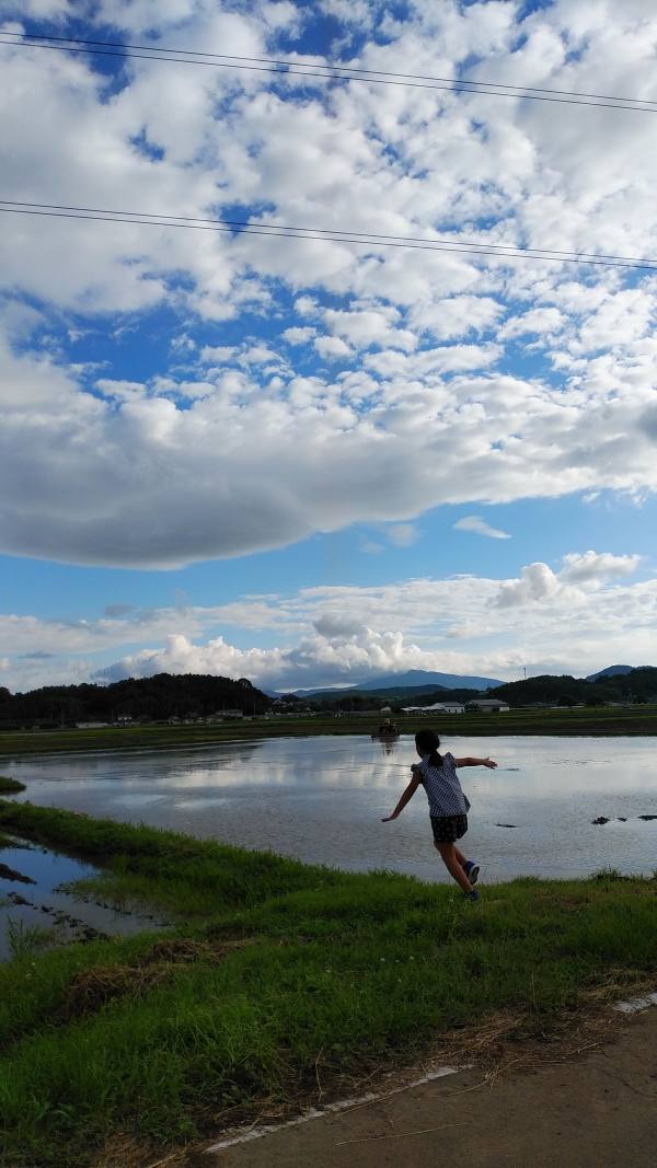 田中碧様の作品「年に1度の海登場」の写真