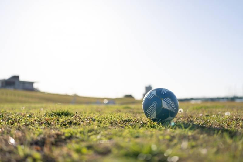 草原に転がるサッカーボールの写真