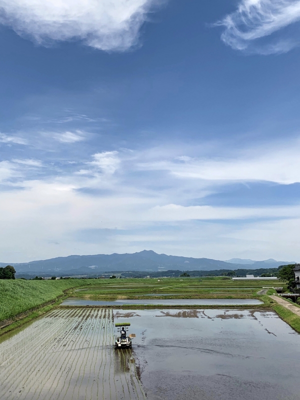 山田隆博様の作品「パラダイス・空色の田圃」の写真