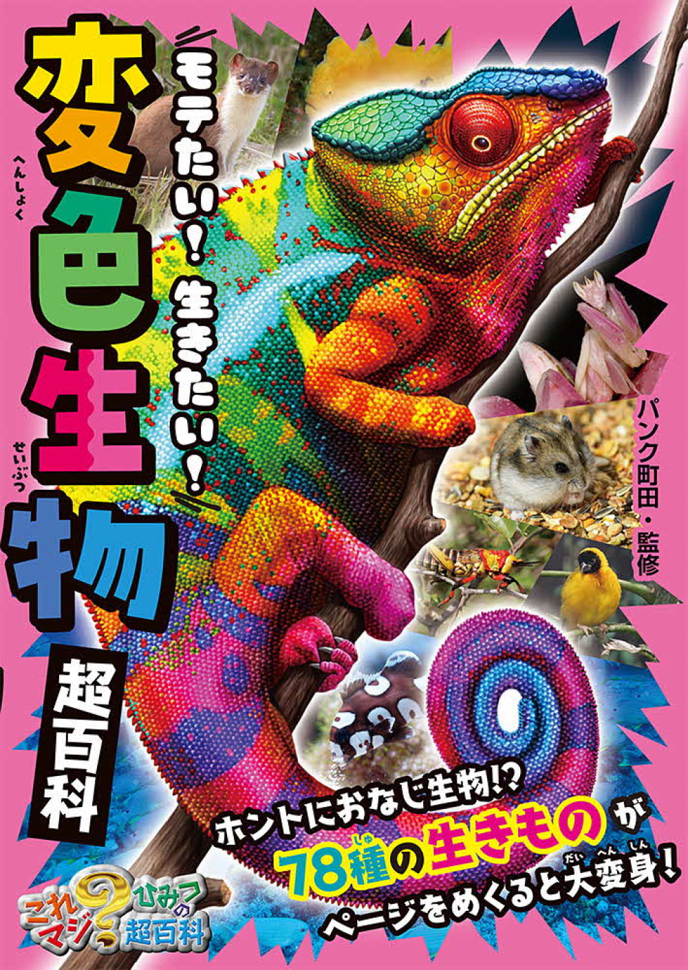 書影