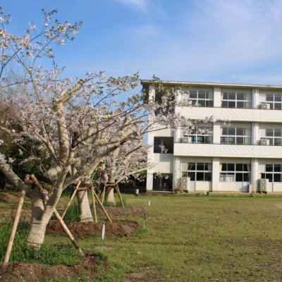 記念樹にも花が