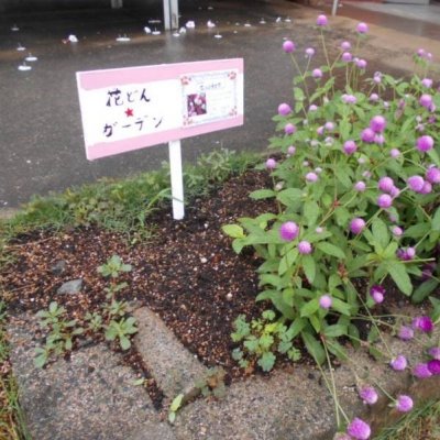 花どんガーデンの画像
