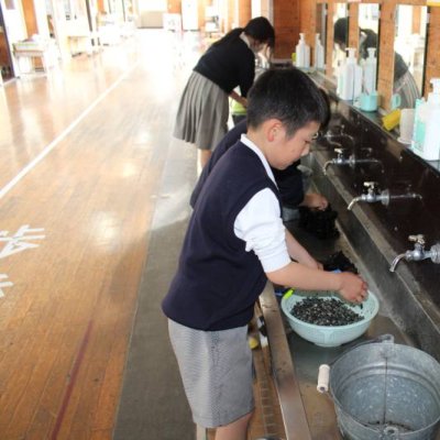 水槽の掃除