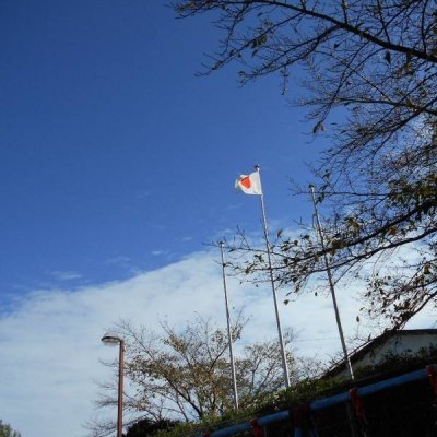 気持ち良い晴天の画像