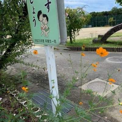 秋の気配1枚目の画像