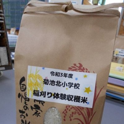 袋詰めされた稲刈り体験収穫米の画像