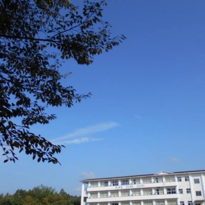空の写真