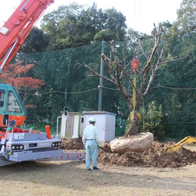クレーンで運ぶ