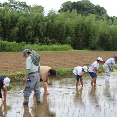 みんなで植える