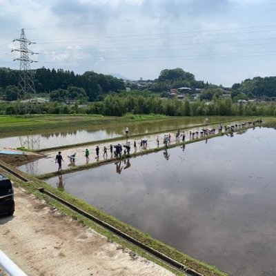 5年生田植え1枚目の画像