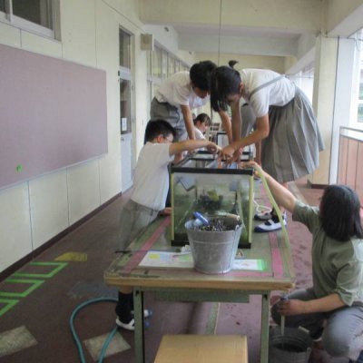 水槽をきれいに