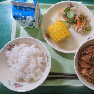 給食