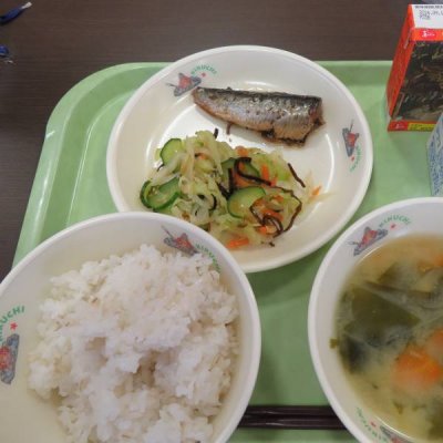 給食