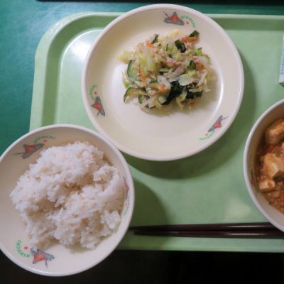 給食