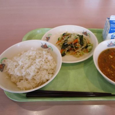 麦ごはん、マーボー豆腐、もやしの香味サラダの画像