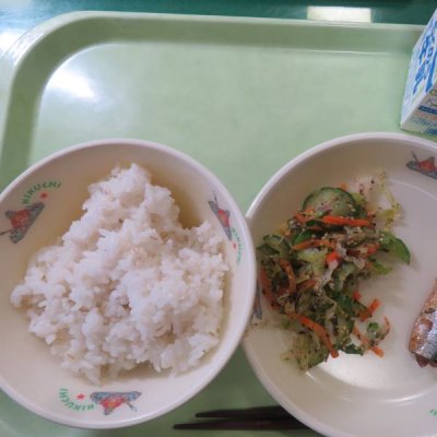 給食