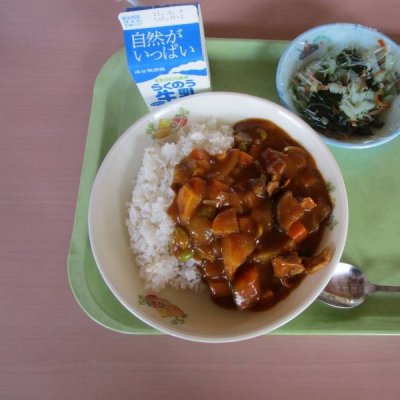 麦ごはん、夏野菜カレー、ごまじゃこサラダ
