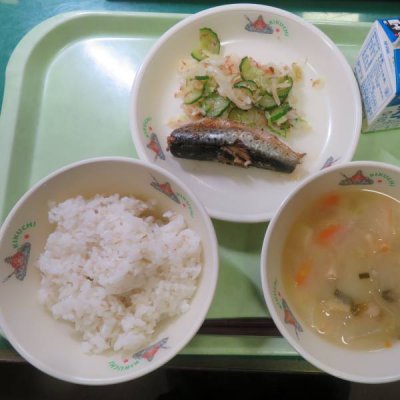 給食
