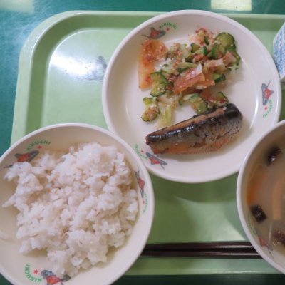 給食