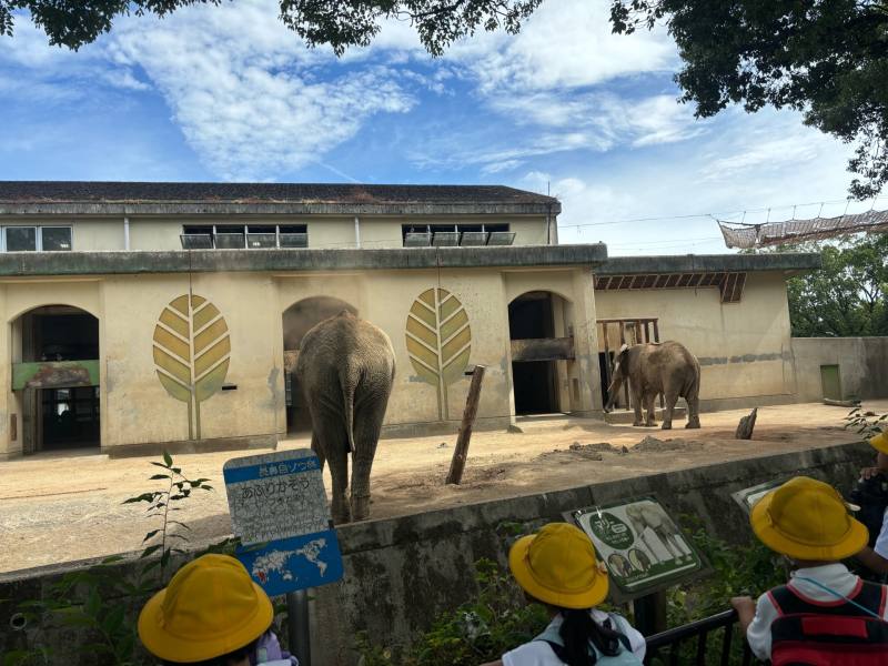 動物園