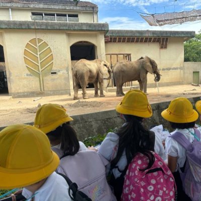 動物園