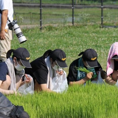 田植え1枚目の画像