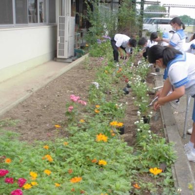 花植え1枚目の画像