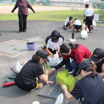 田植え