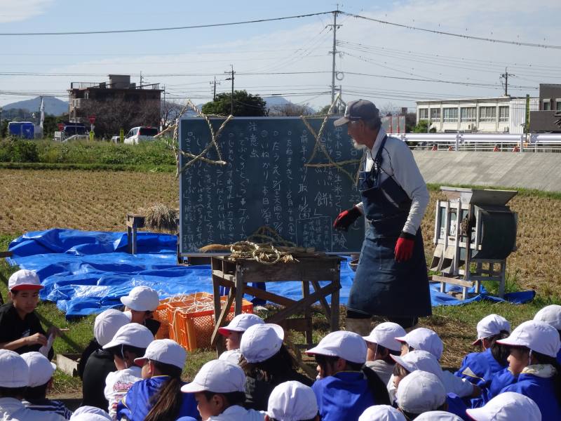 稲刈り