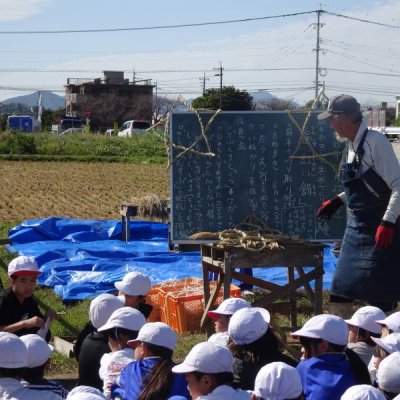 稲刈り