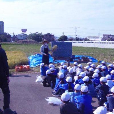 稲刈り