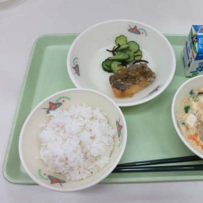 給食