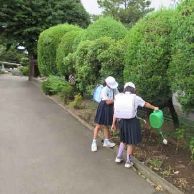 水やり