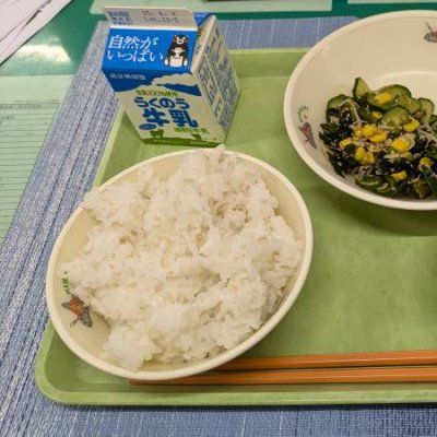 ご飯