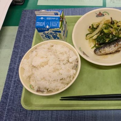 魚