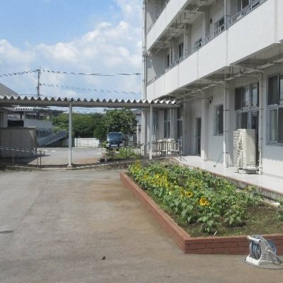 きれいになった花壇