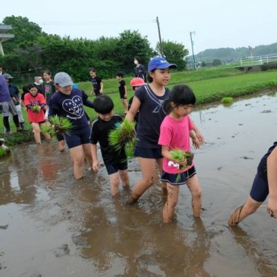 田植え1枚目の画像