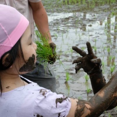 田植えの画像