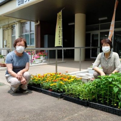 花の苗などのプレゼントの画像