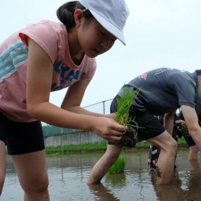 田植え1枚目の画像